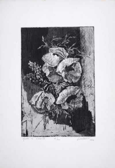 Fiori e Insetti