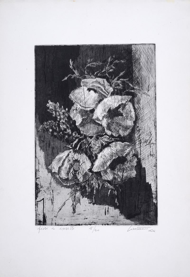 Aldo Castano - Fiori e Insetti