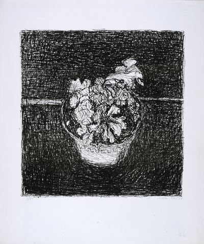 Fiori