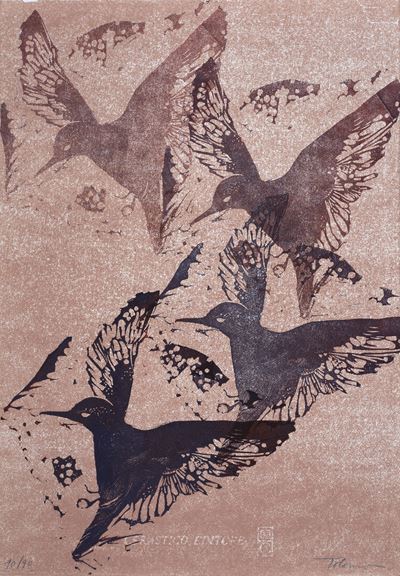 Uccelli