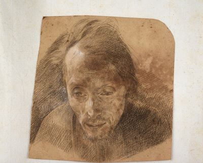 Volto di Anziano