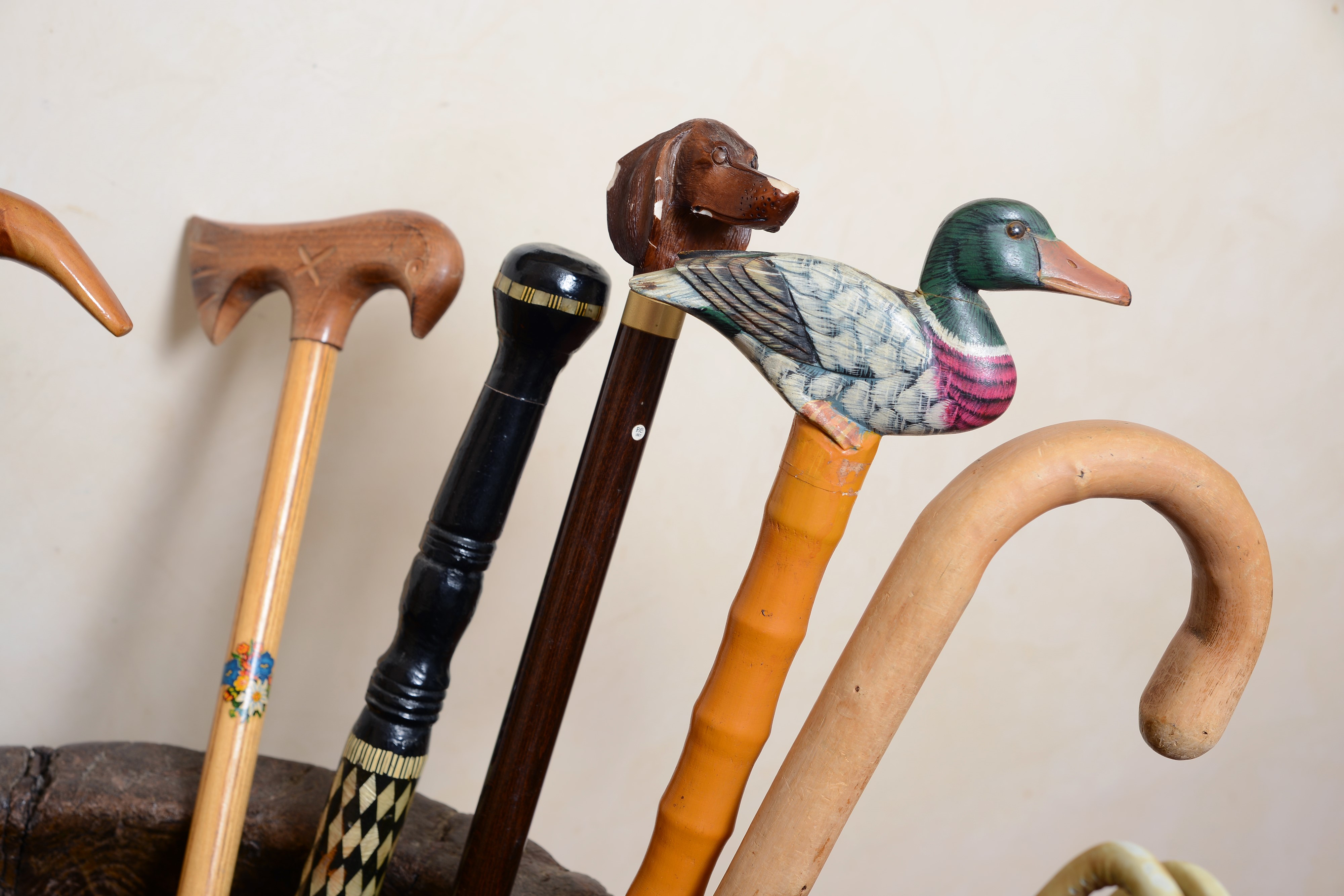 Collezione di Bastoni
