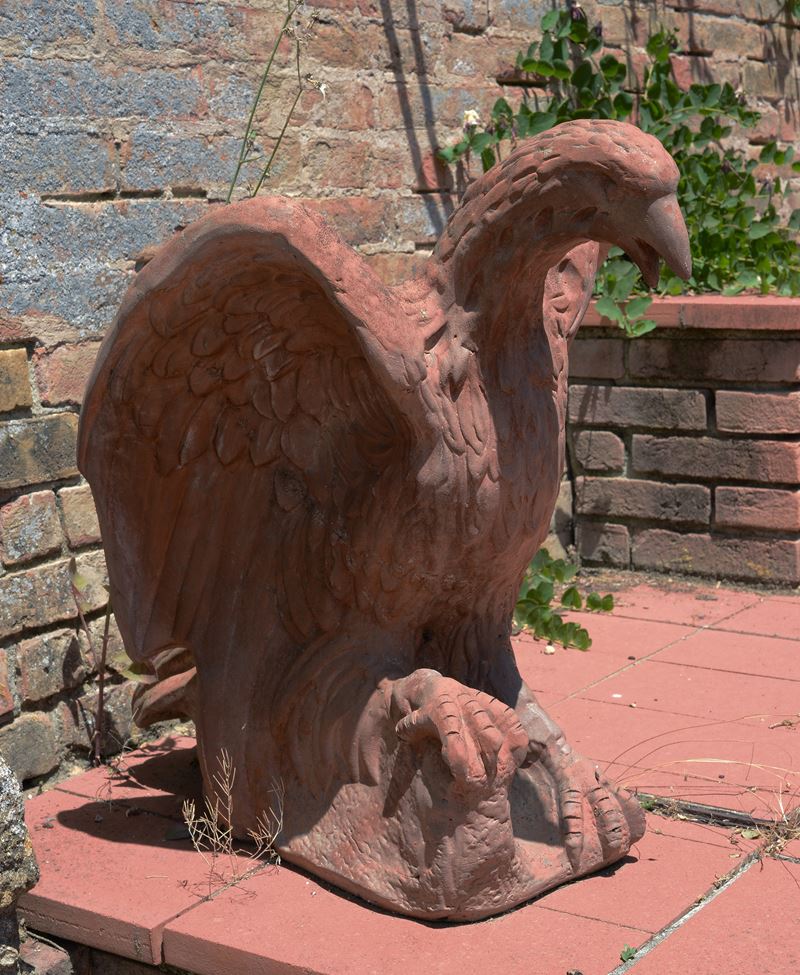 Aquila in Terracotta
