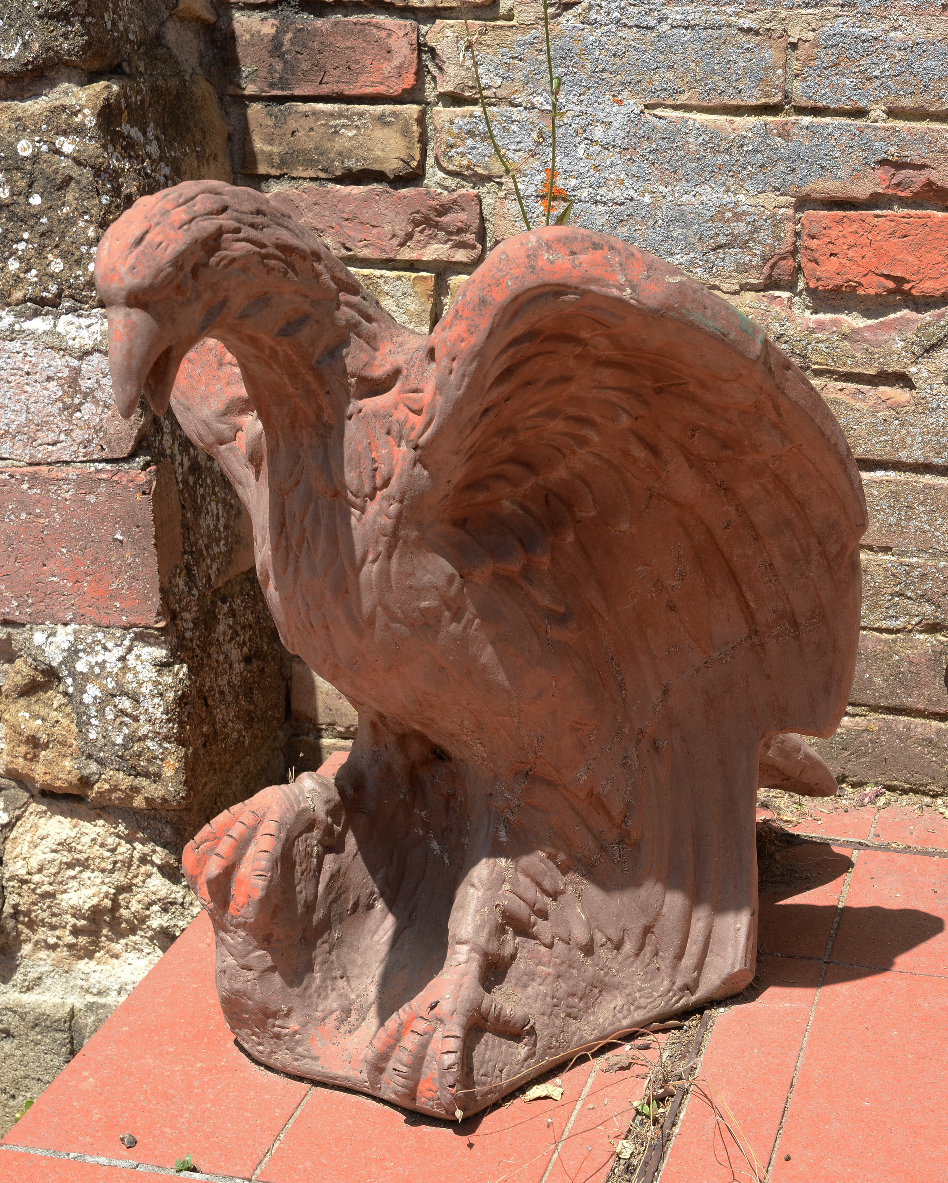 Aquila in Terracotta