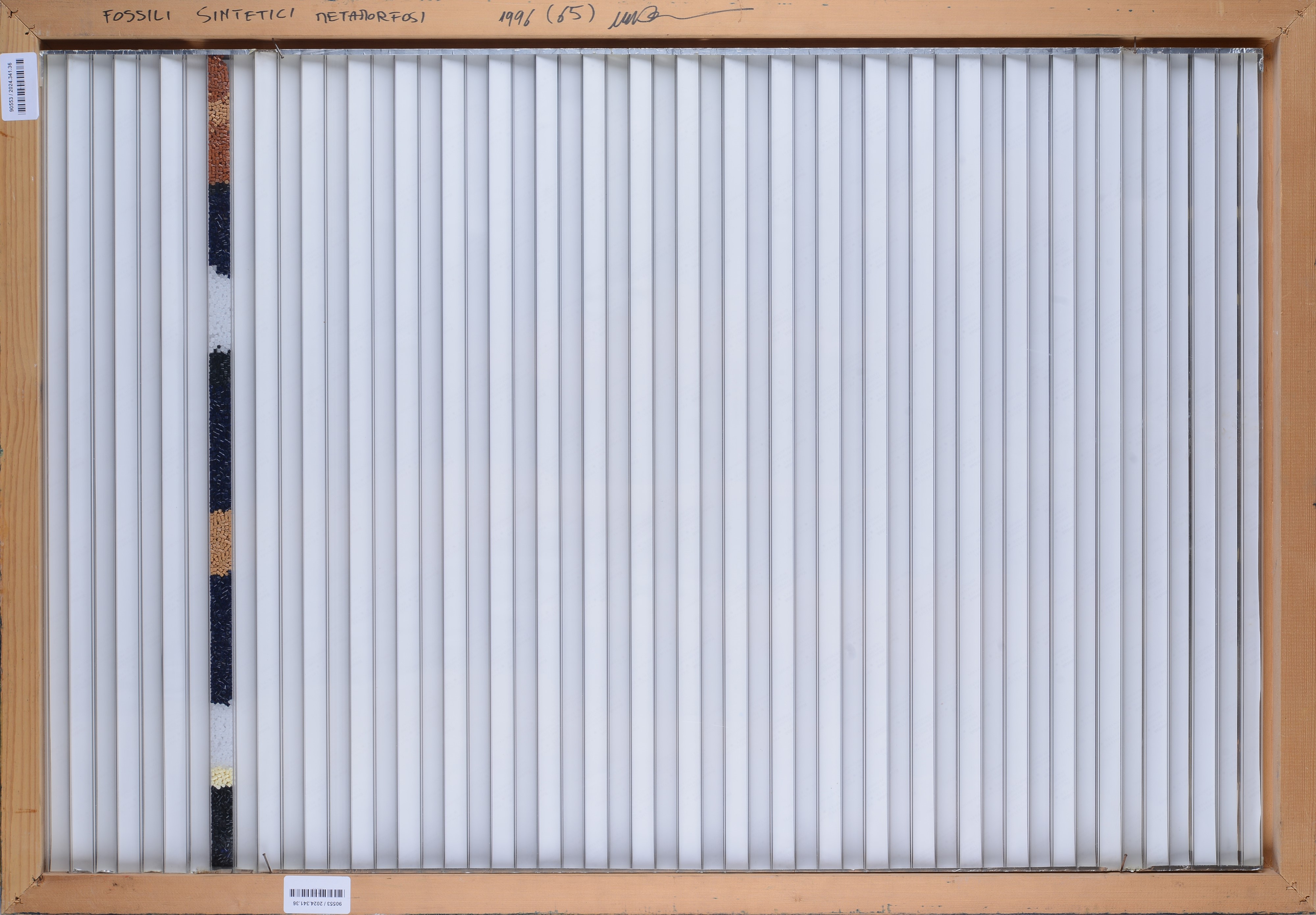 Fossili sintetici metamorfosi