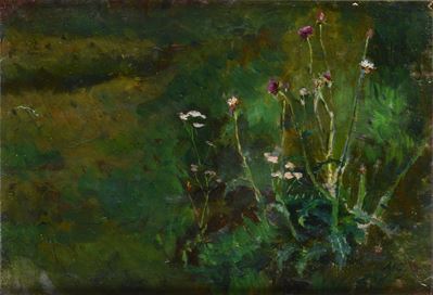 Fiori di Campagna