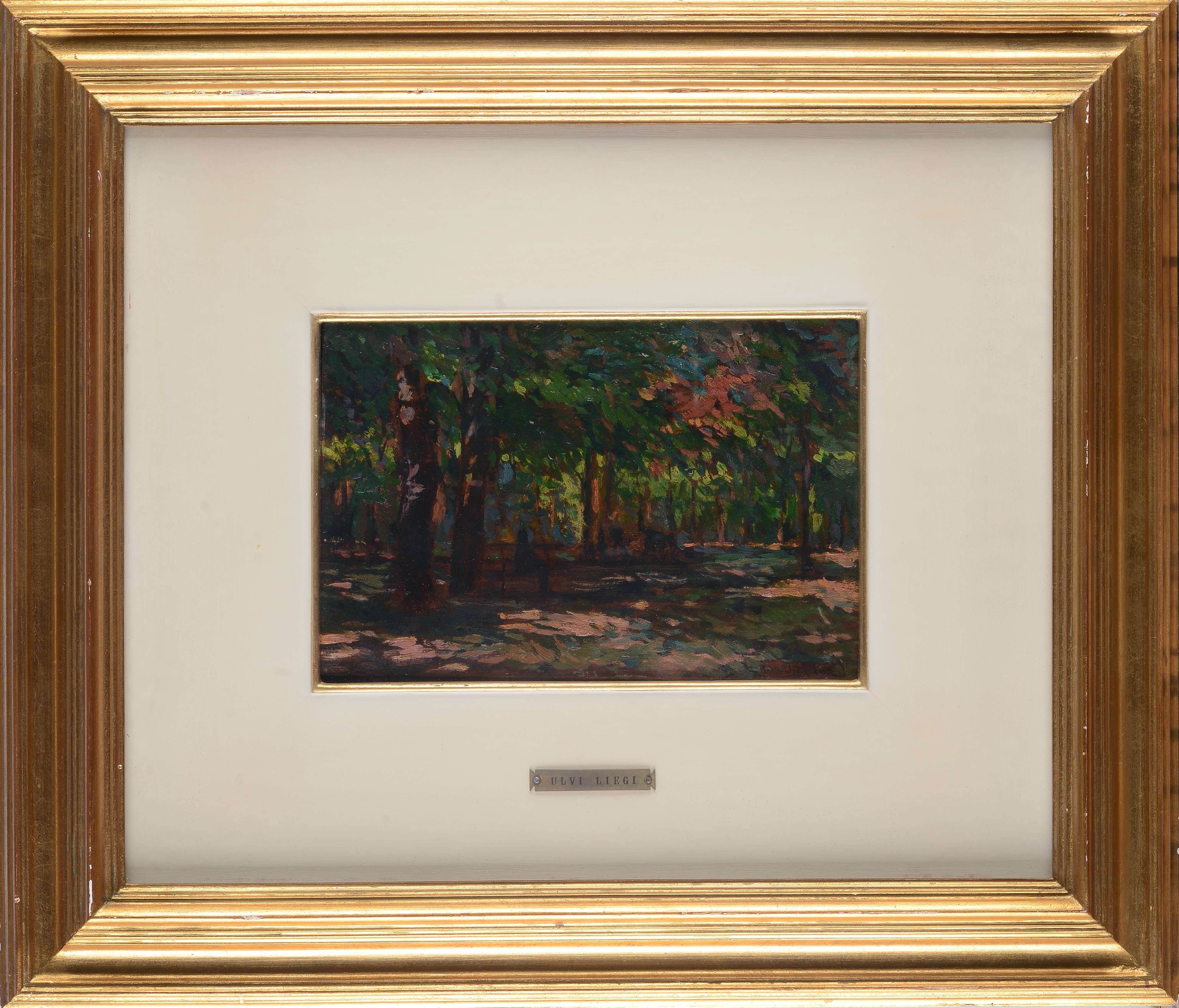 Ulvi Liegi - Giardini