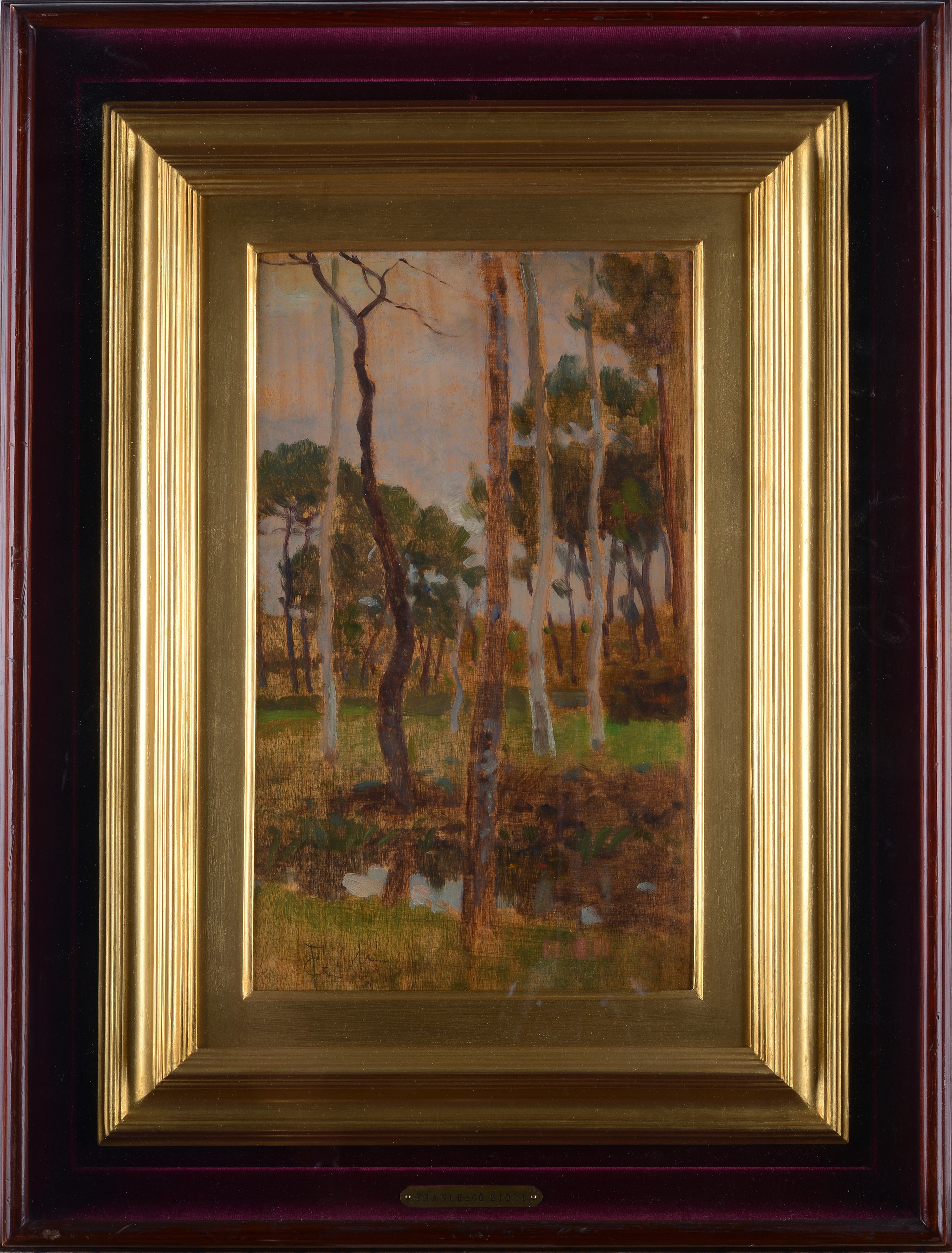Francesco Gioli - Alberi