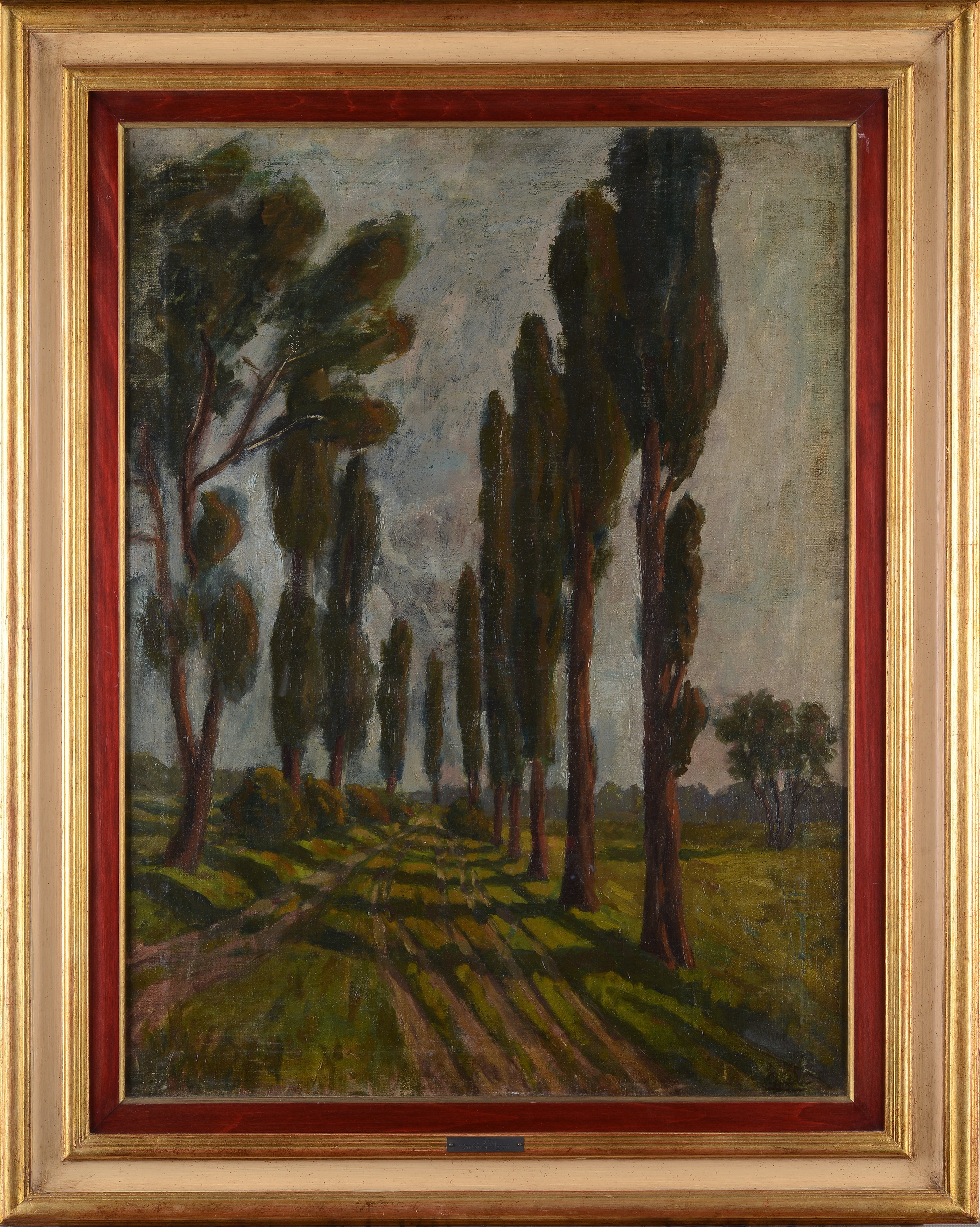 Luigi Gioli - Viale Alberato