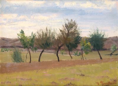 Alberi