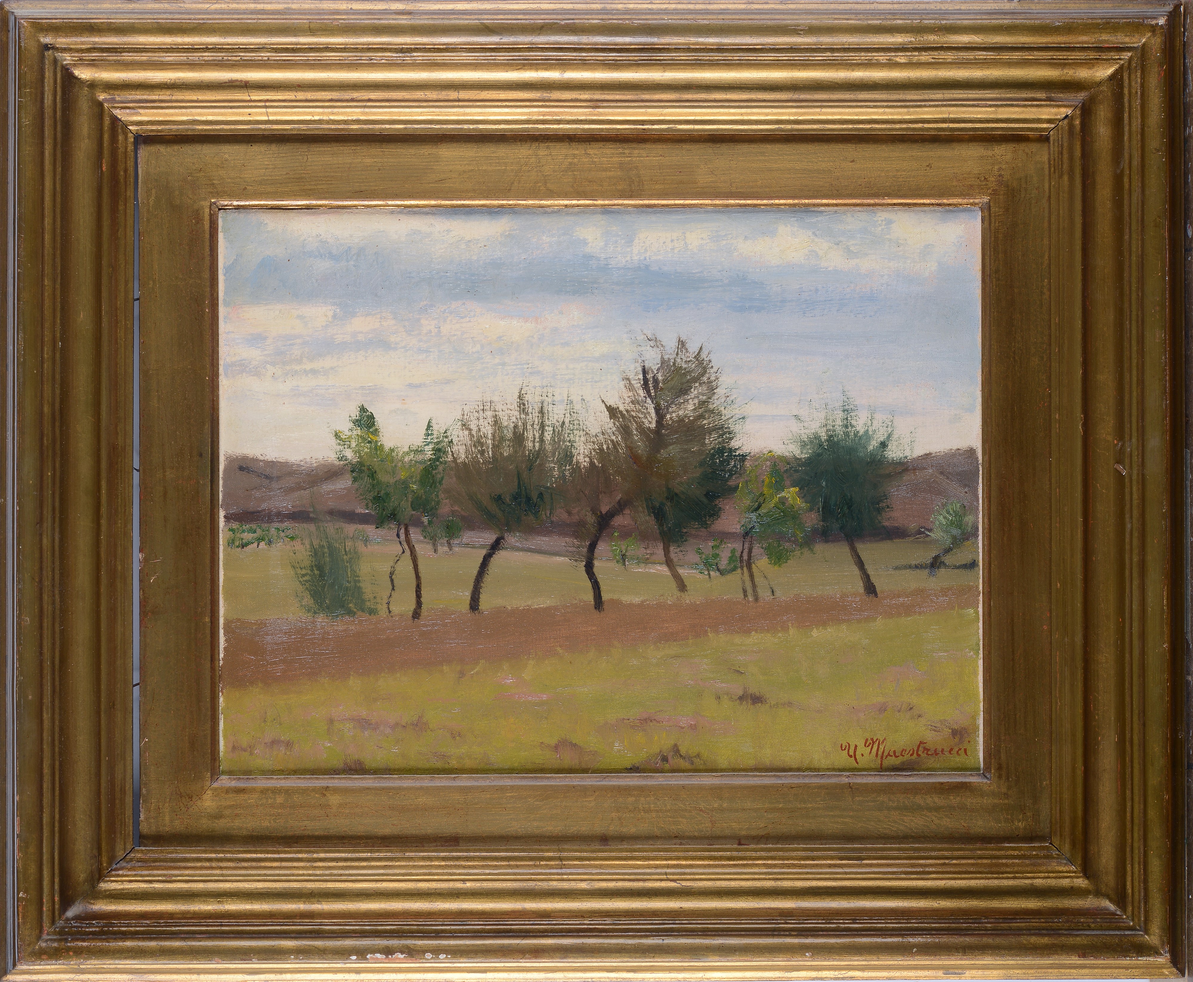 Umberto Maestrucci - Alberi