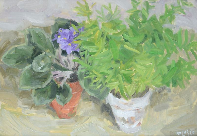 Nelusco Sarti - Vasi di Fiori