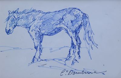 Cavallo