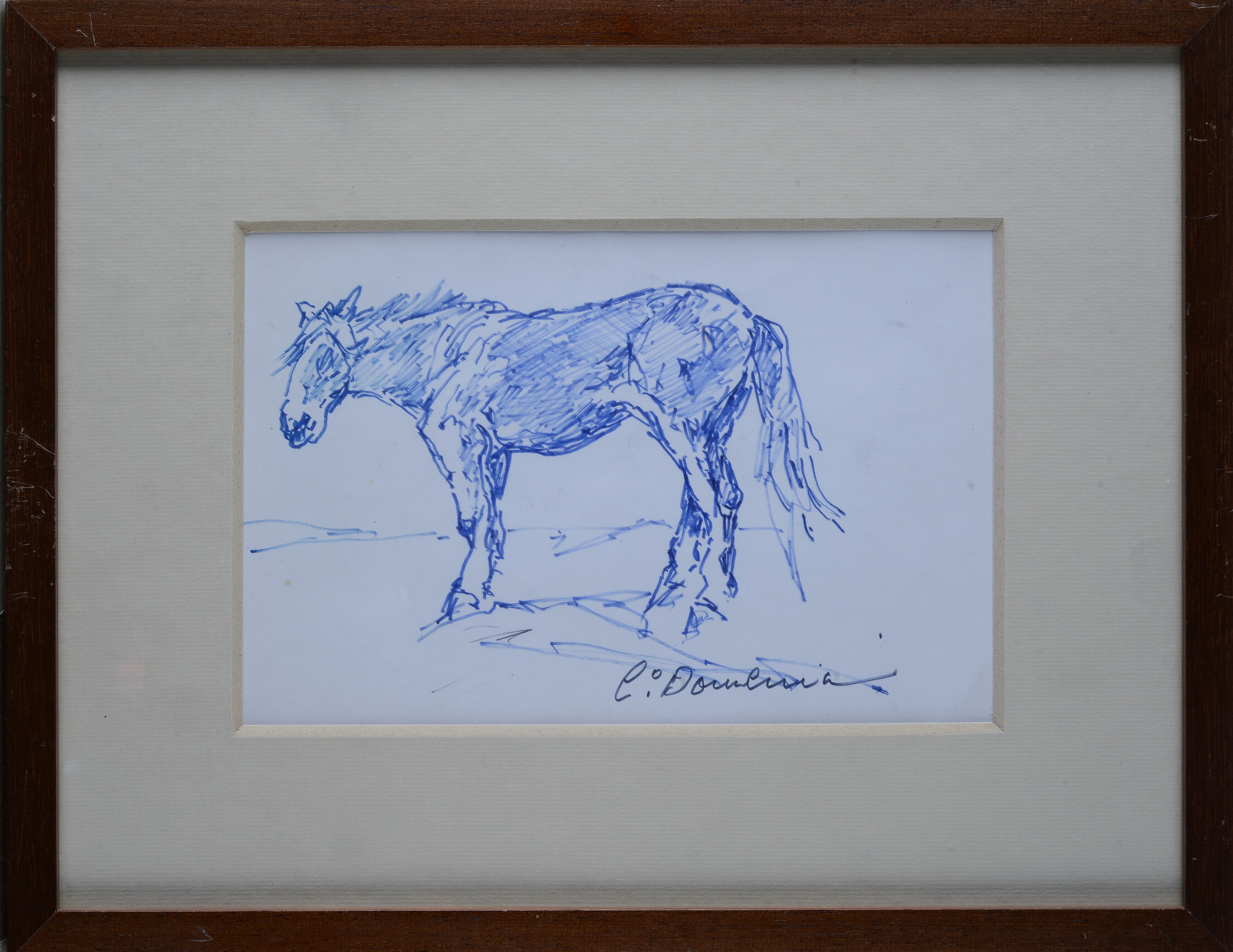 Carlo Domenici - Cavallo