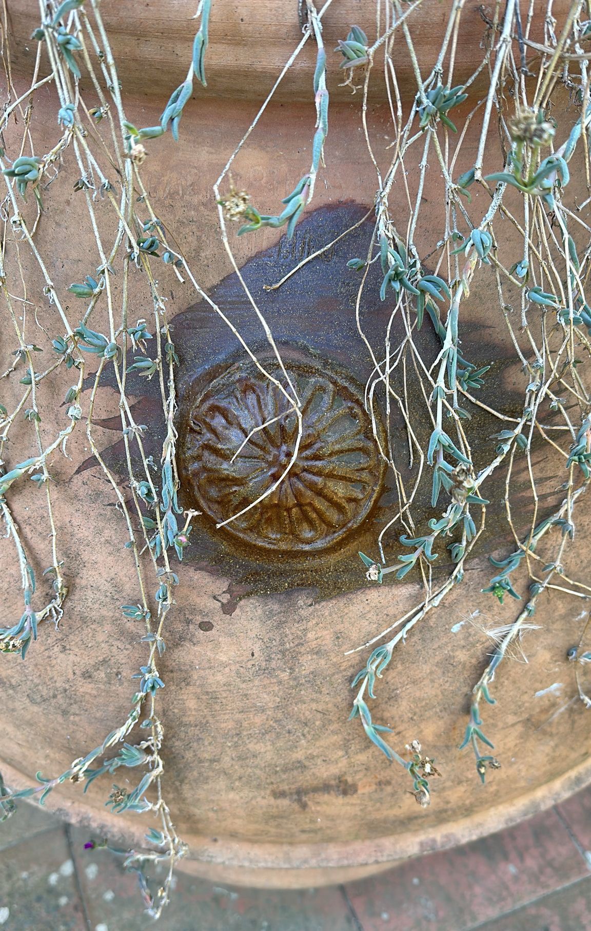 Orcio in Terracotta