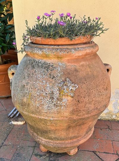 Orcio in Terracotta