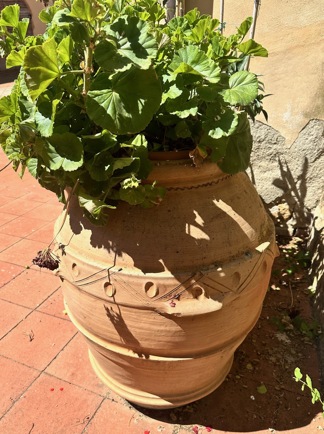 Orcio in Terracotta con Grembiule