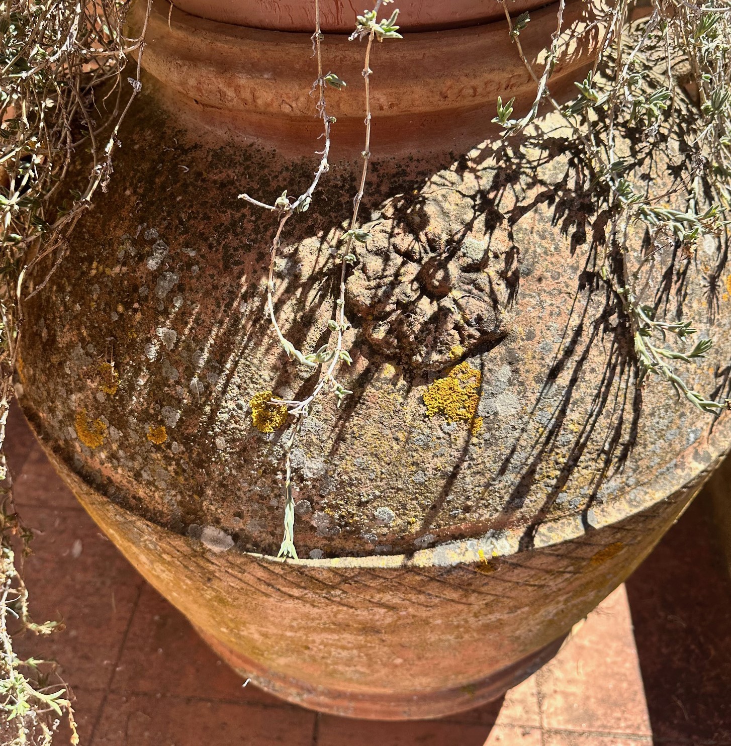 Orcio in Terracotta
