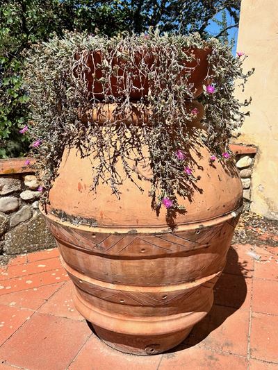 Orcio in Terracotta