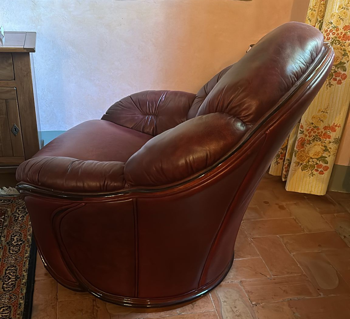 Poltrona in Pelle