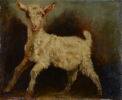 Agnellino