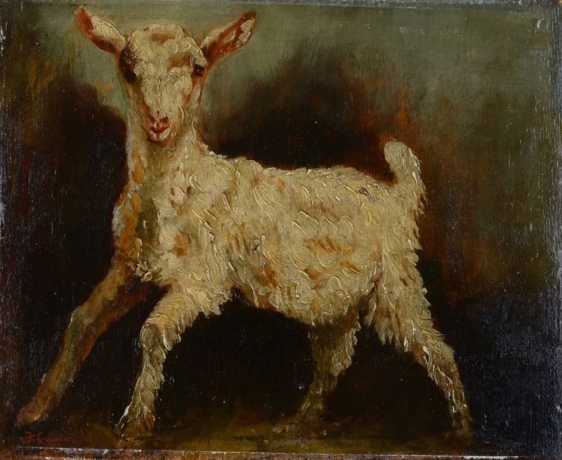 Francesco Camarda - Agnellino
