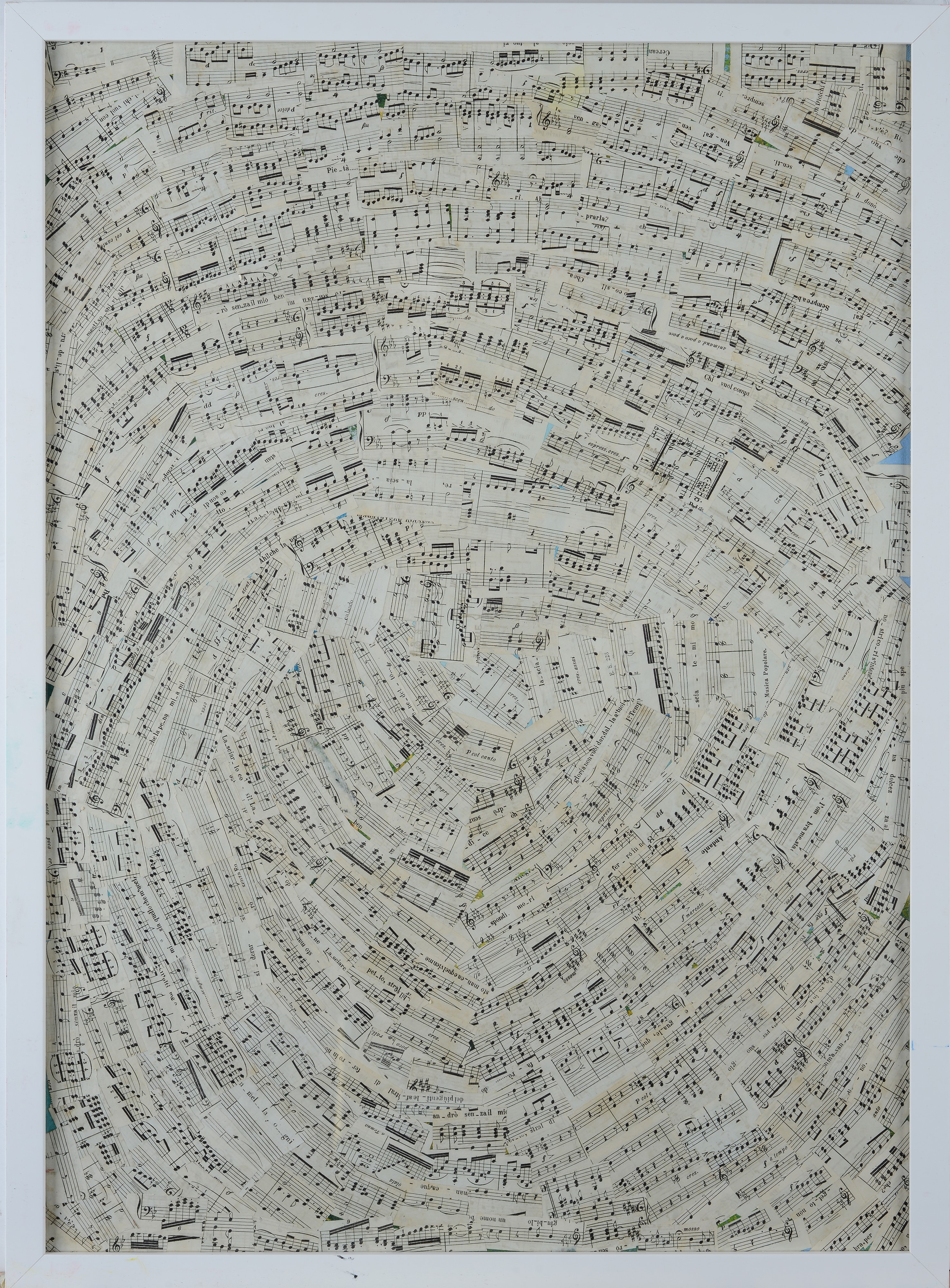 Serenata con la luna piena