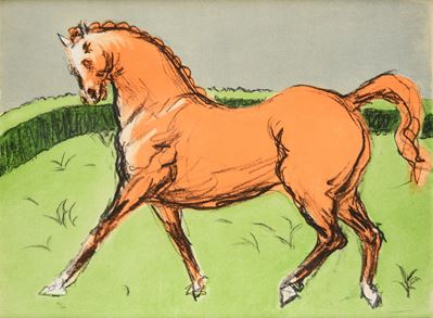 Cavallo