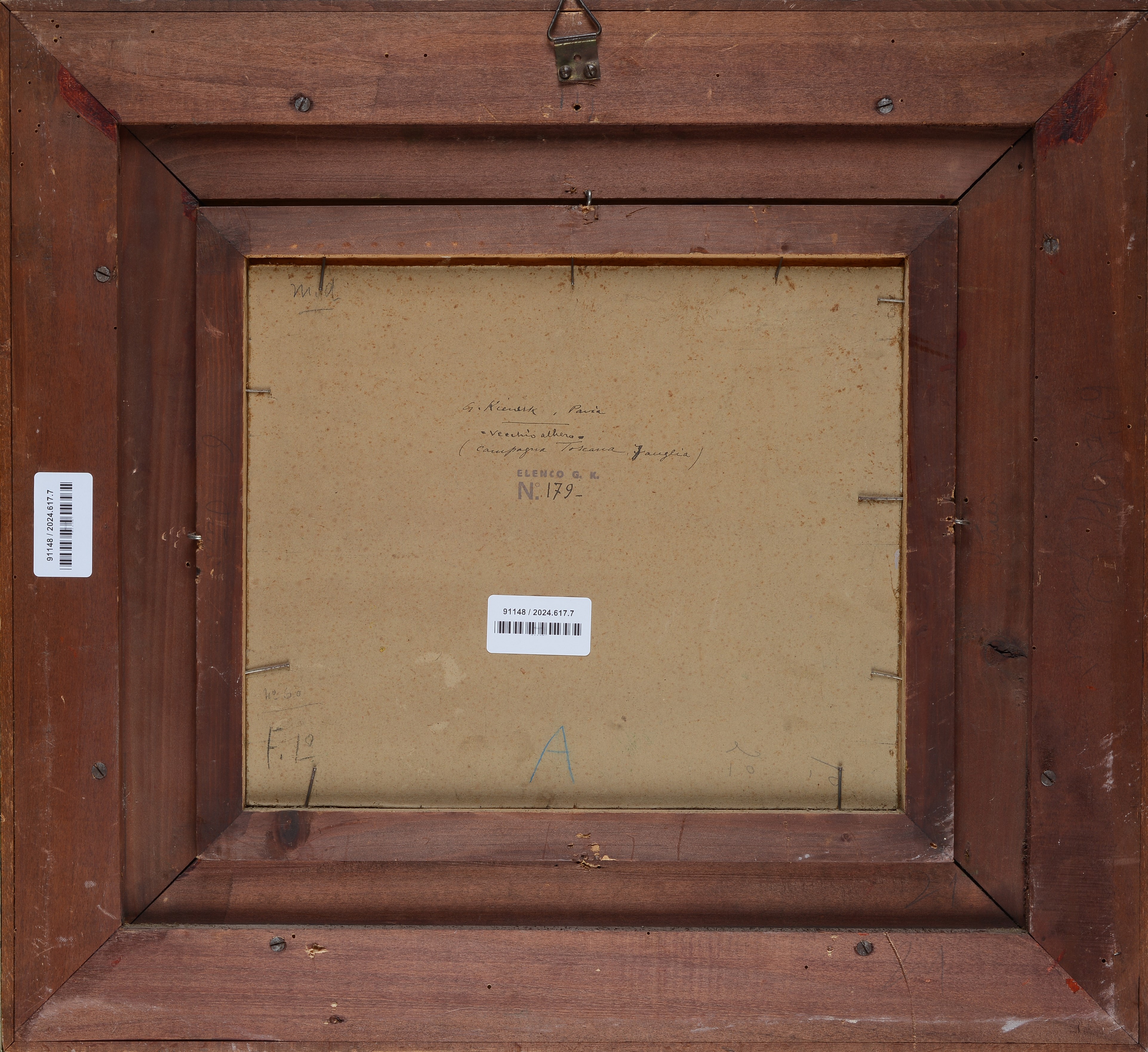 Vecchio albero (Campagna Toscana Fauglia)