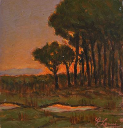 Paesaggio al Tramonto