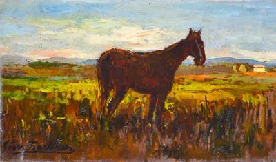 Paesaggio con Cavallo