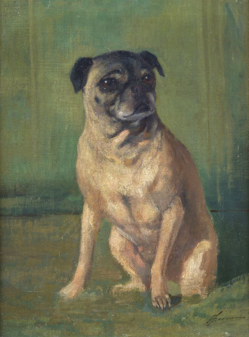 Attr. a Eugenio Cecconi - Cane