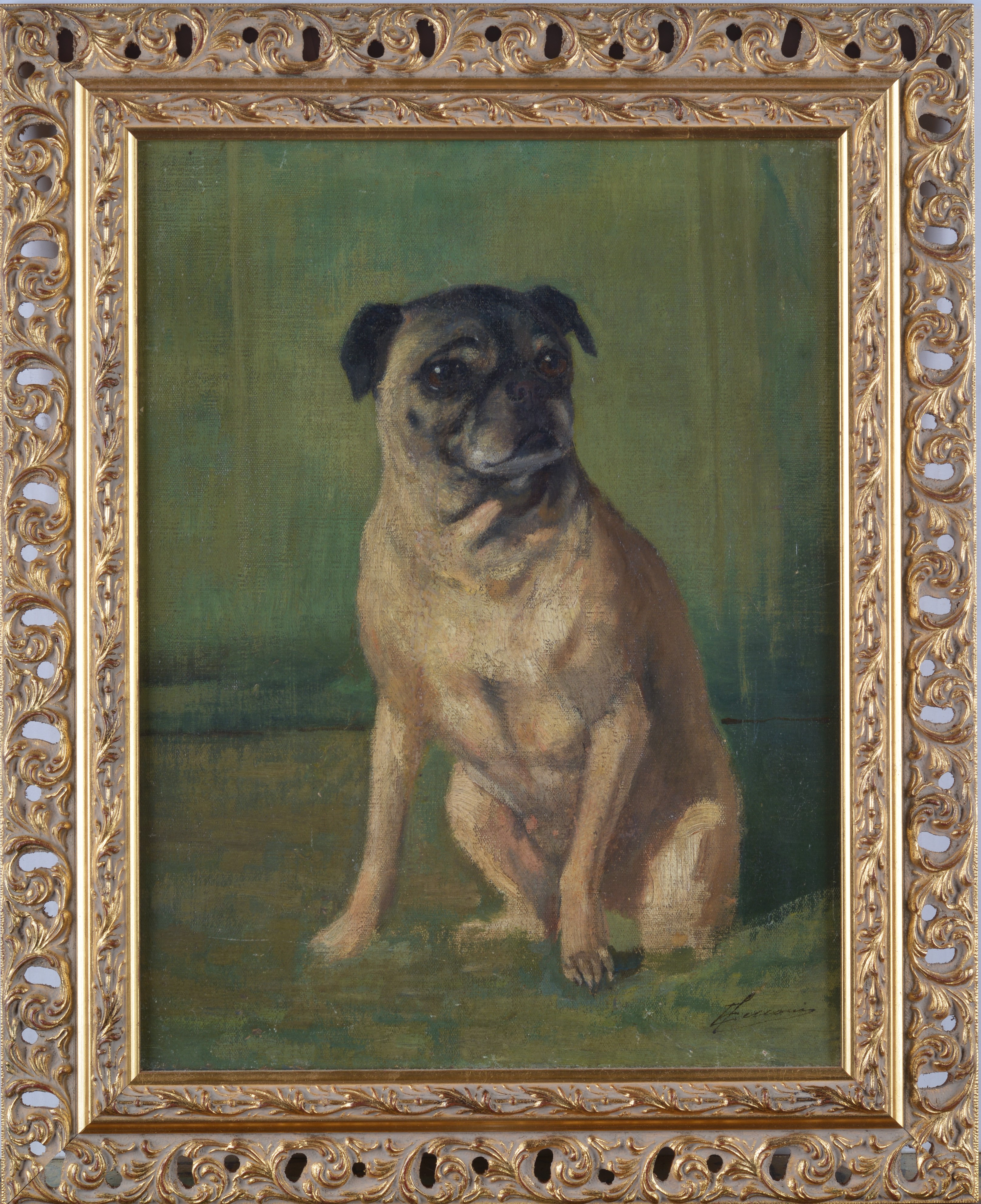 Attr. a Eugenio Cecconi - Cane