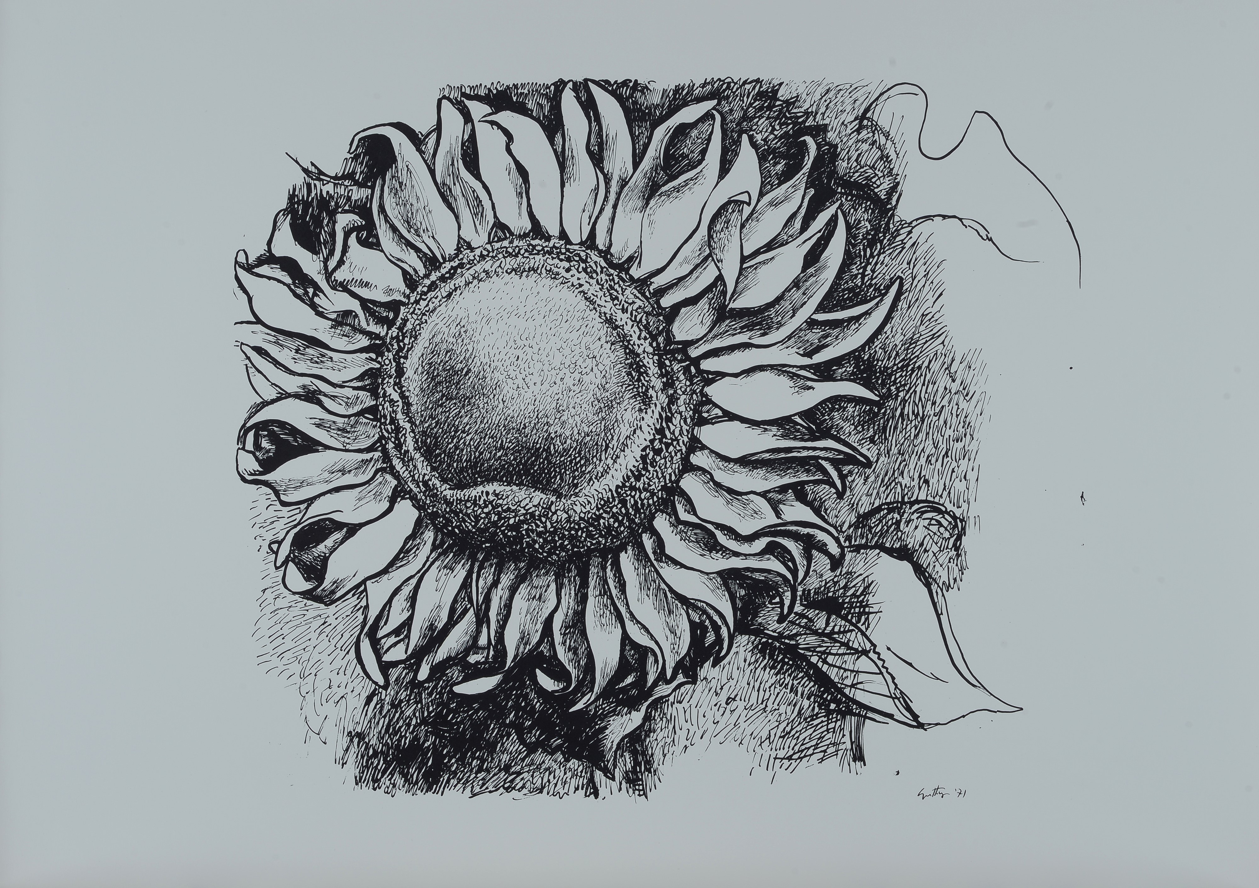 Guttuso. Disegni 1938-1972