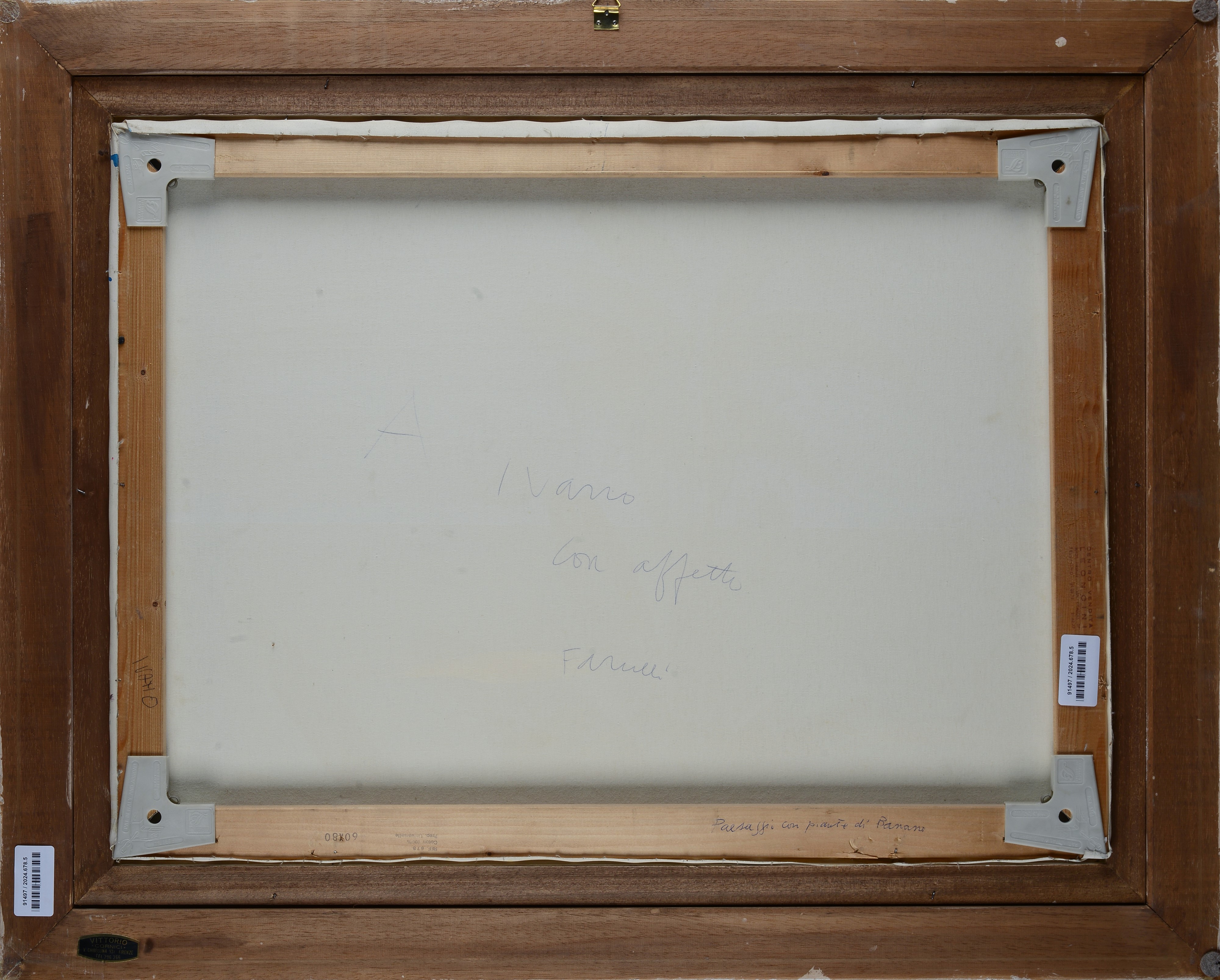 Paesaggio con pianta di banano