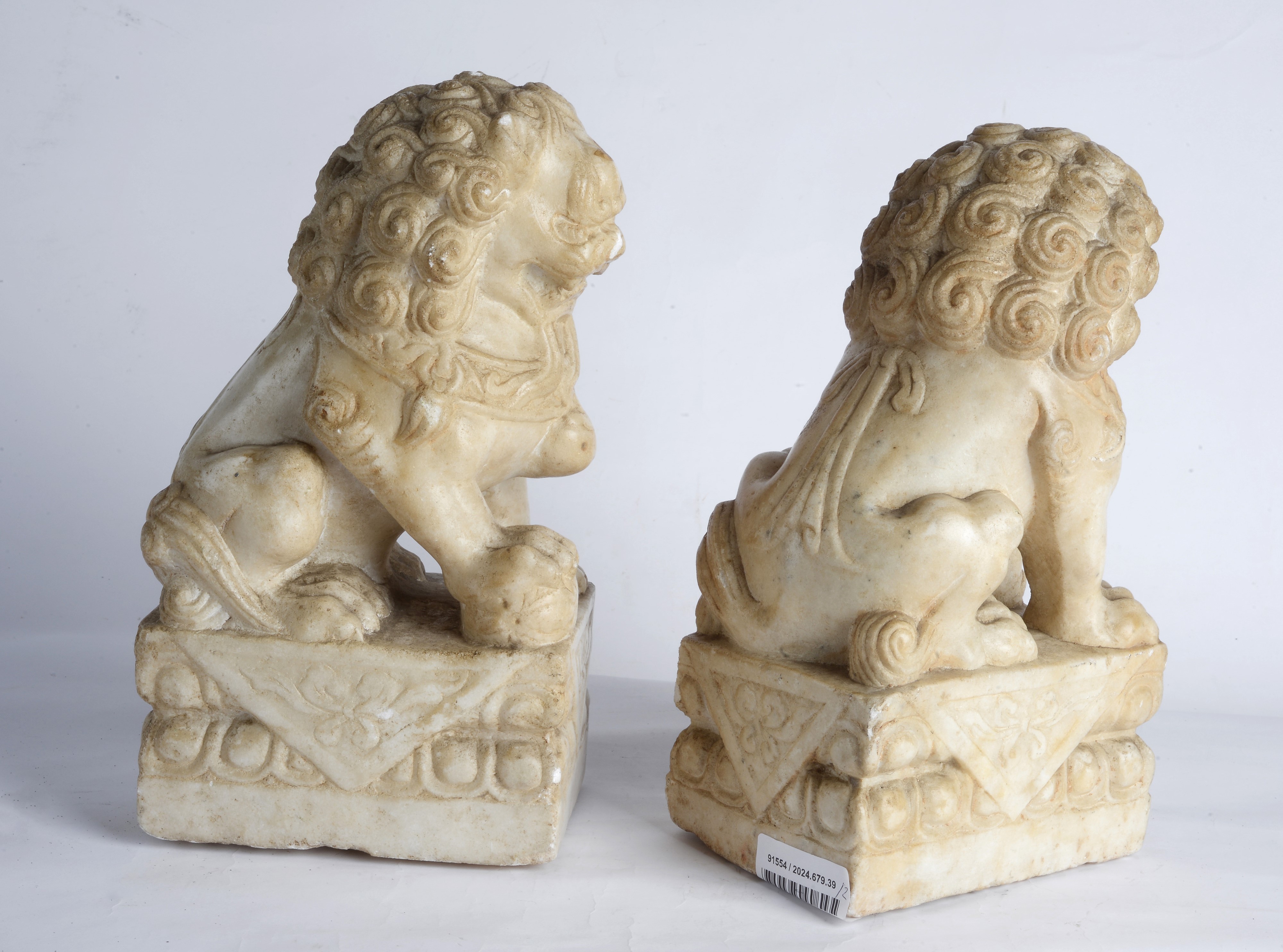 Coppia di cani di Pho