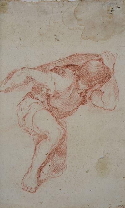Studio di Figura
