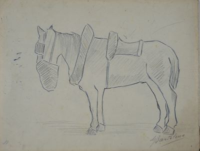 Cavallo