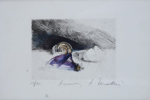 Alessandro Nocentini - Anemoni