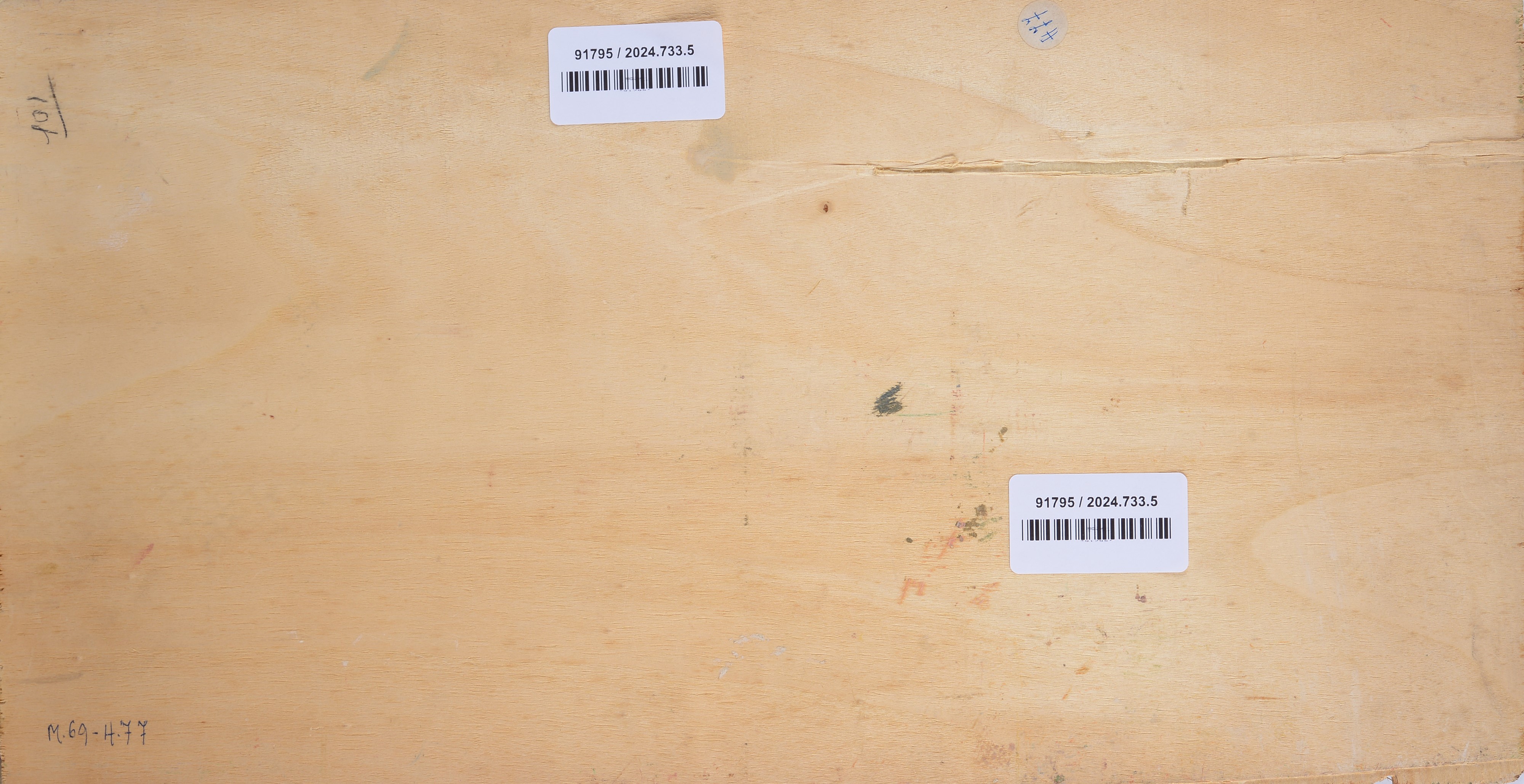 Donna sdraiata con drappo rosa