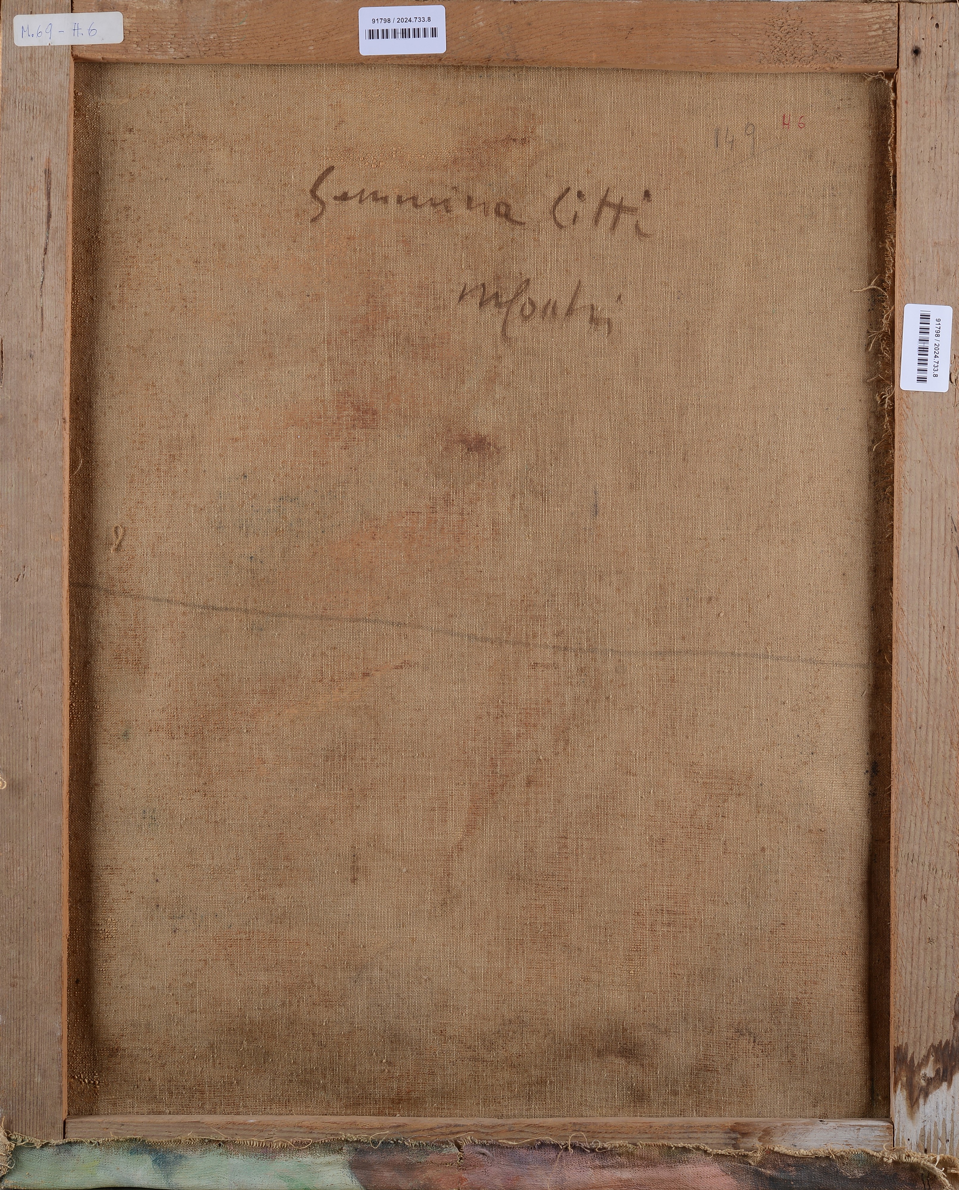 Ritratto di Gemmina Citti