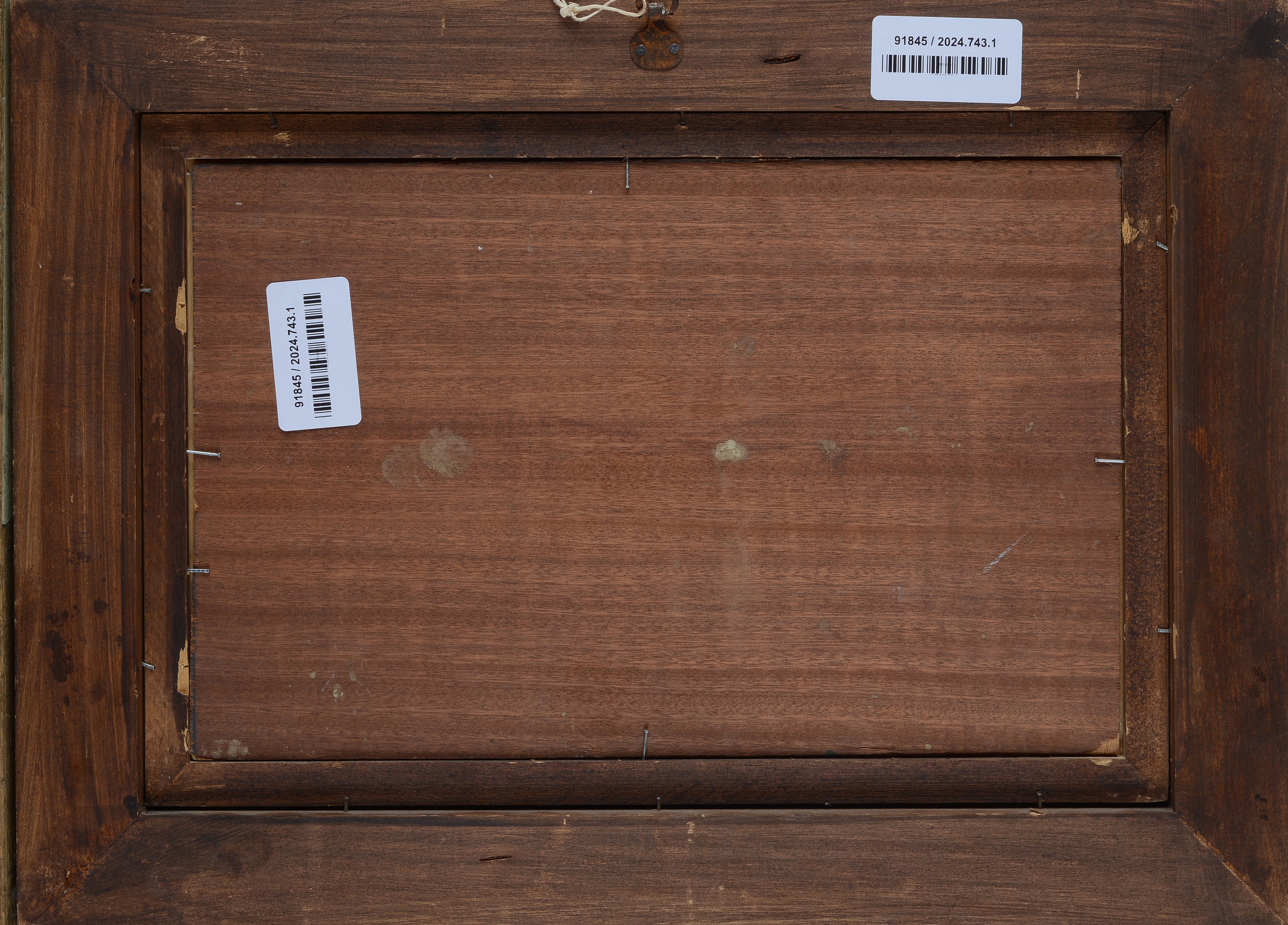 Carrozze con cavalli