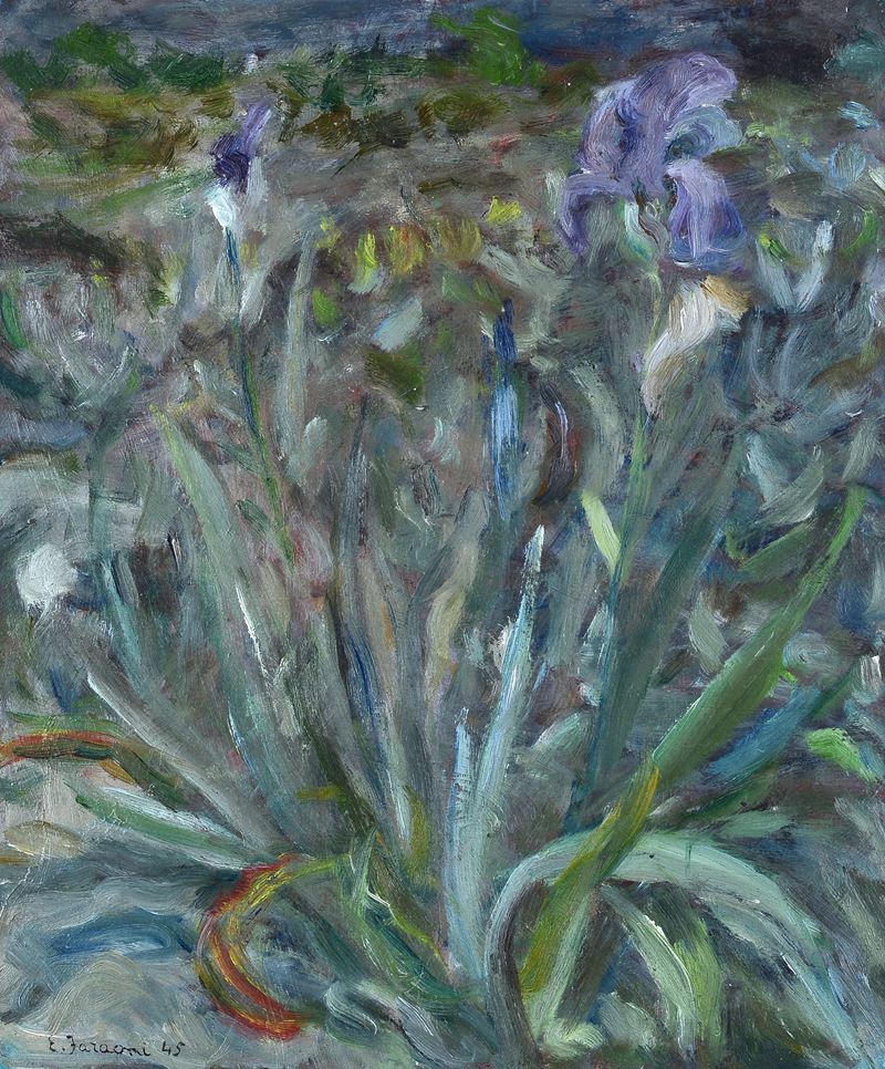 Enzo Faraoni - Giaggioli