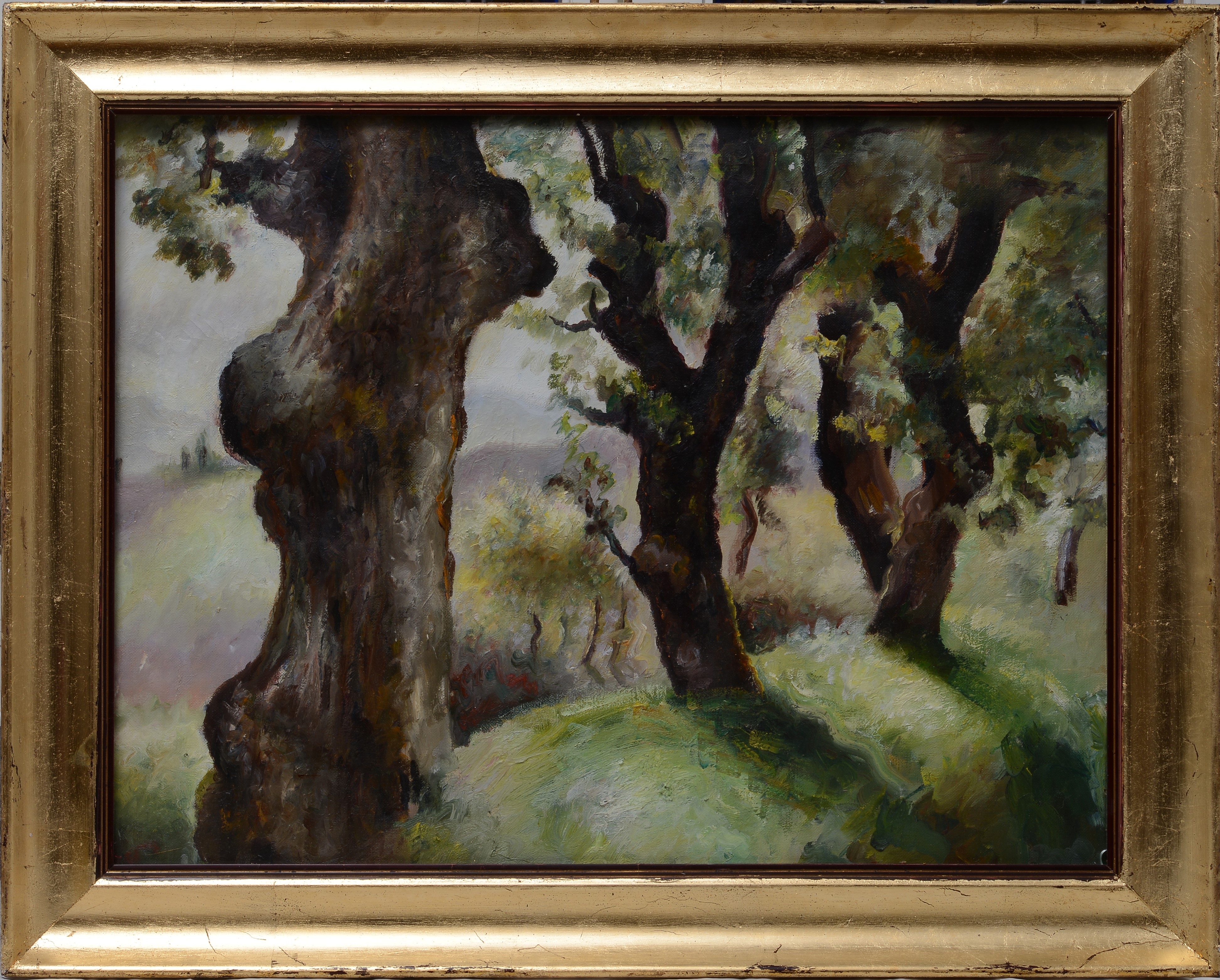 Anonimo, XX Sec. - Alberi
