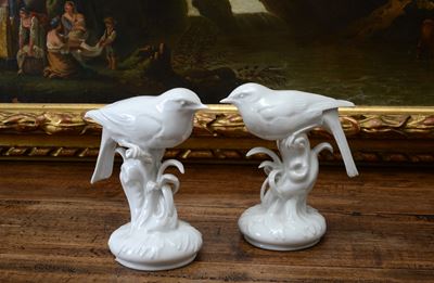 Coppia di Uccellini