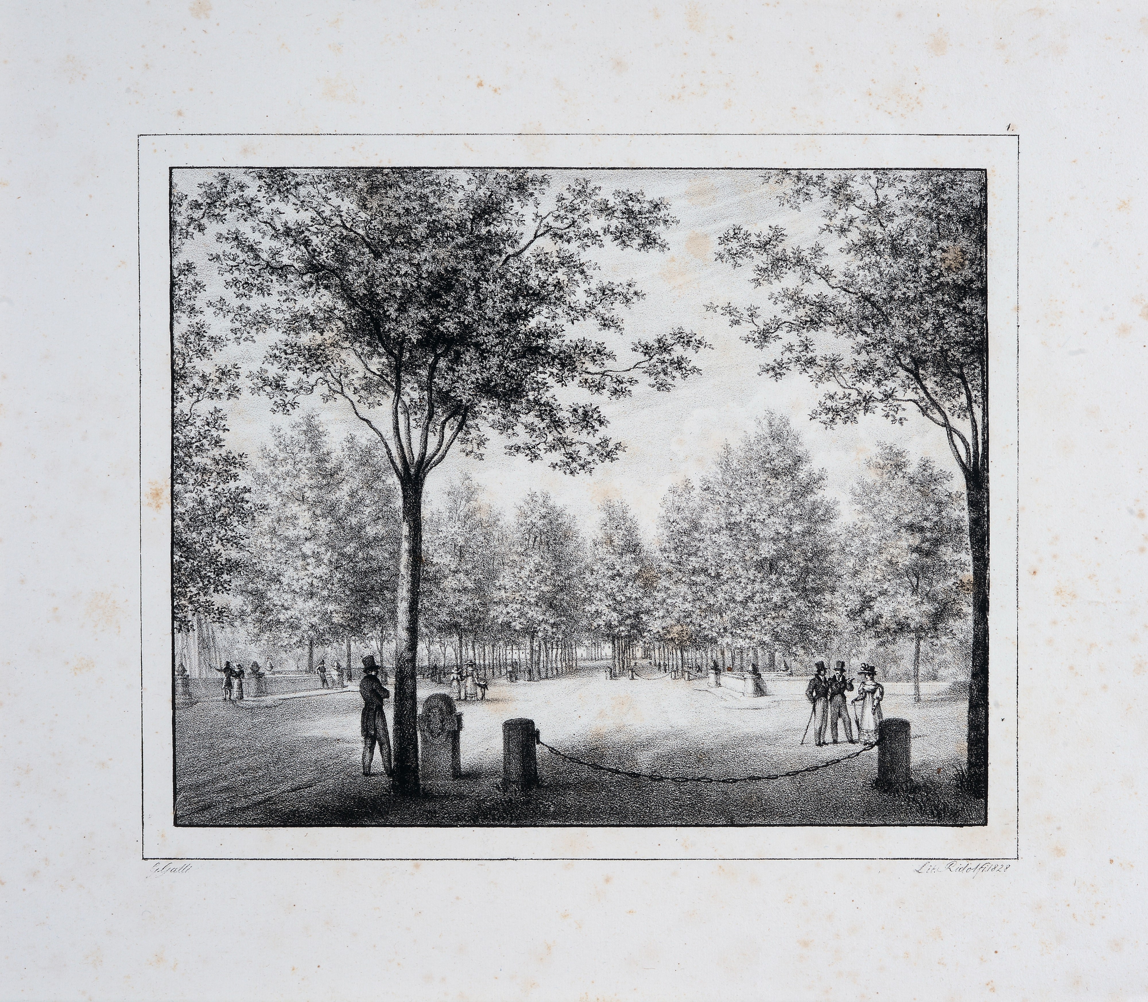 Le Cascine a Firenze