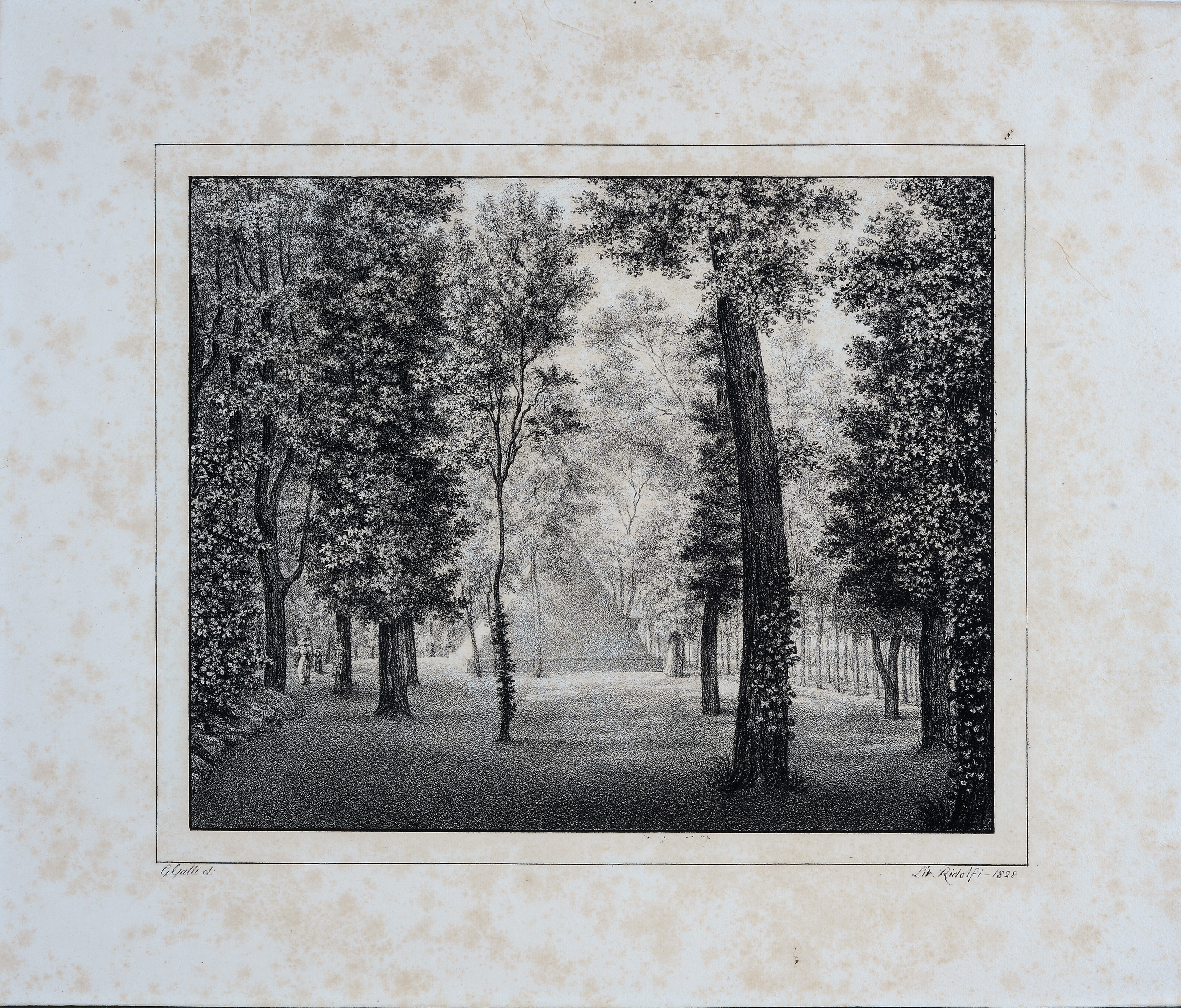 Le Cascine a Firenze