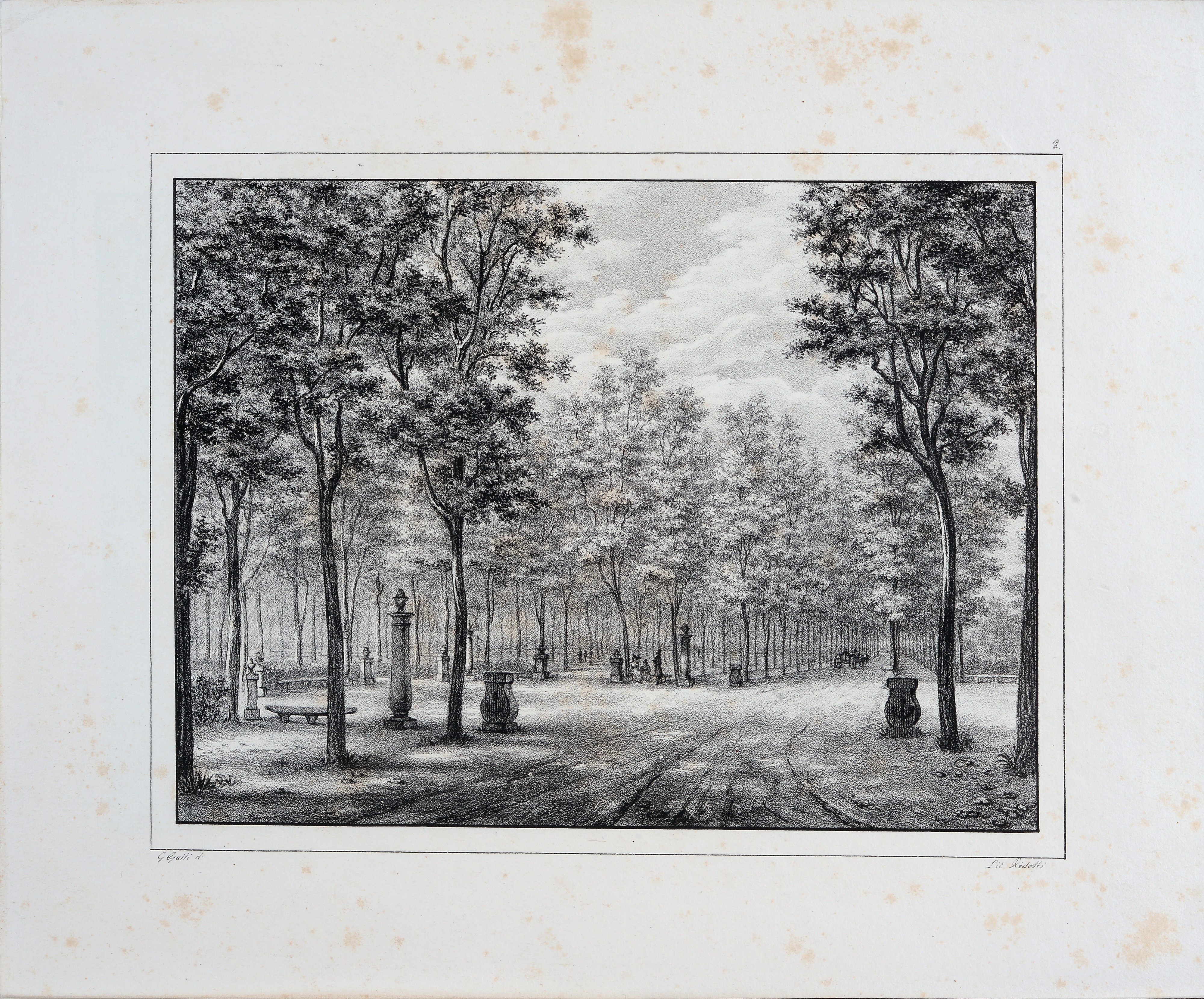 Le Cascine a Firenze