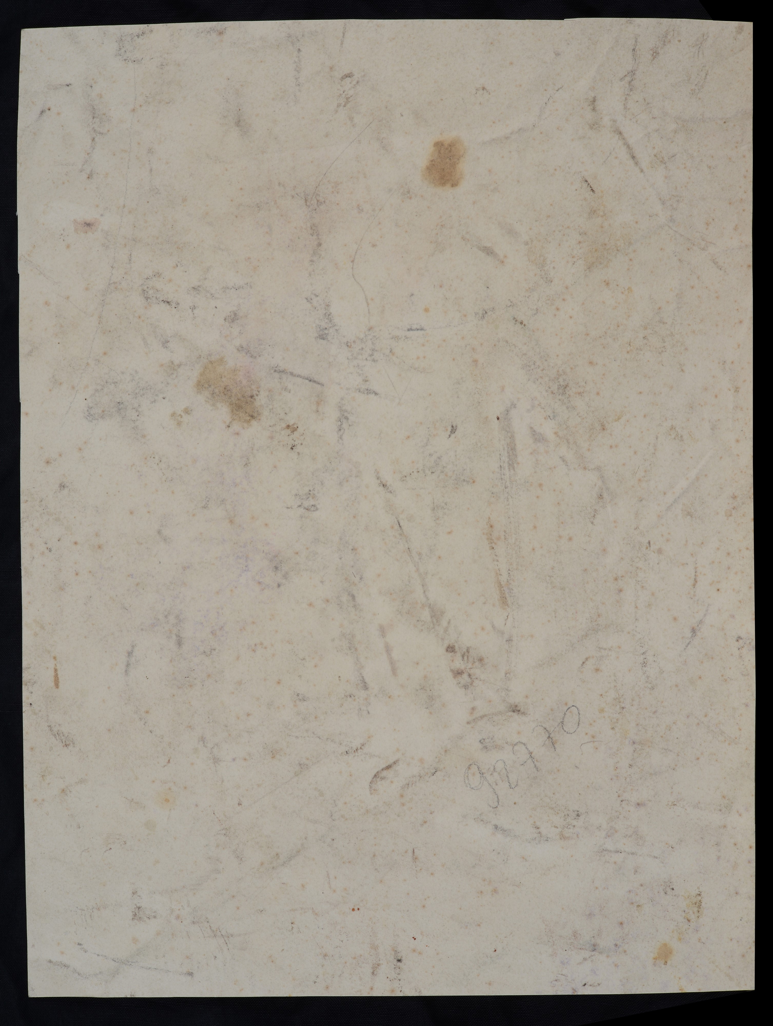 Ritratto di giovinetta