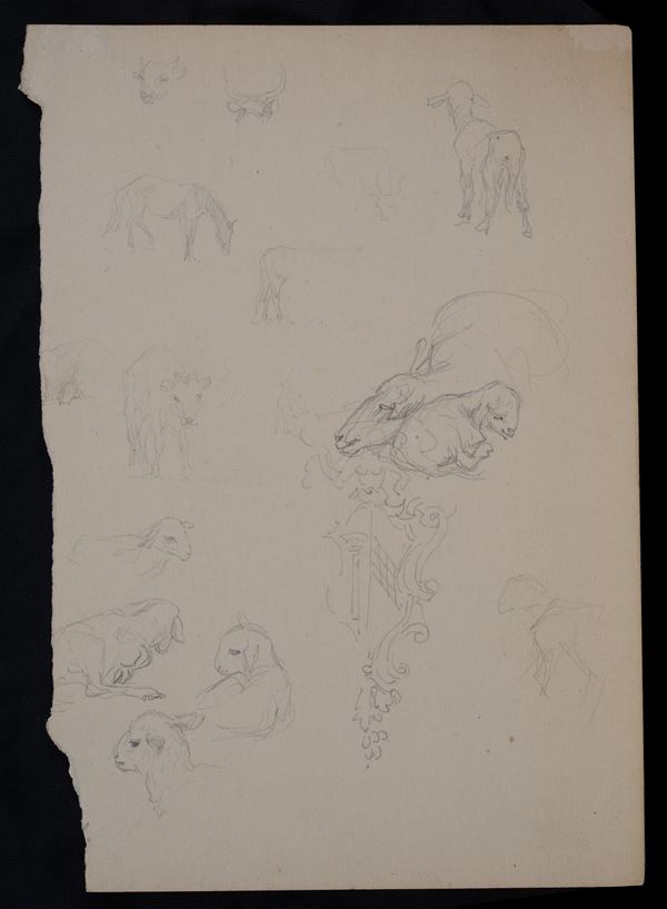 Scuola Italiana, XIX sec. - Studi per animali (fronte e retro)